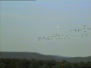ufo pictures
